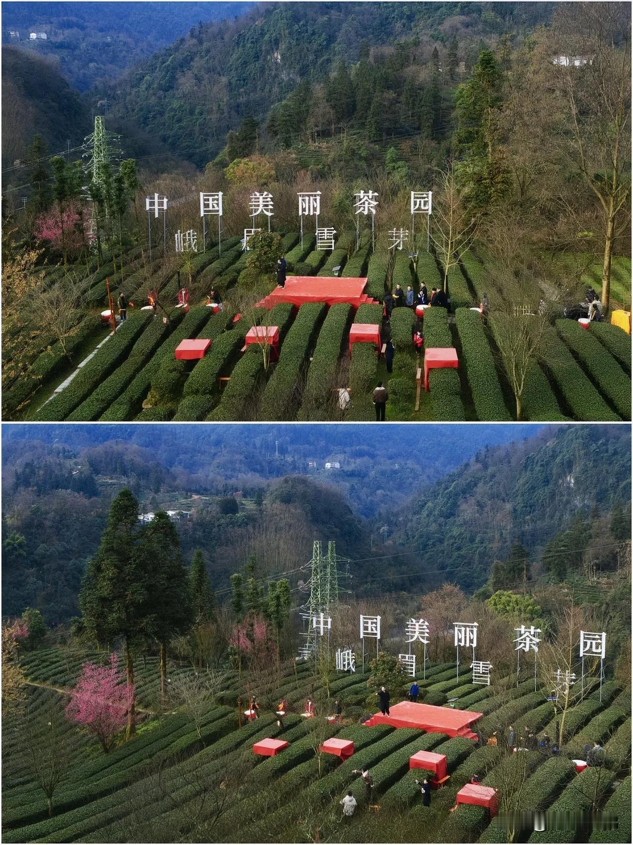 👒🌿逃离城市喧嚣，奔赴峨眉山茶农的诗意生活 🌿👒

来峨眉山当一日茶农，