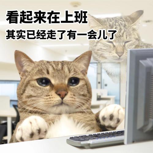 万历怠政，诸事荒废，千里外的蜀地却仍有一位儒官在断案安民

1586年，礼部祠祭