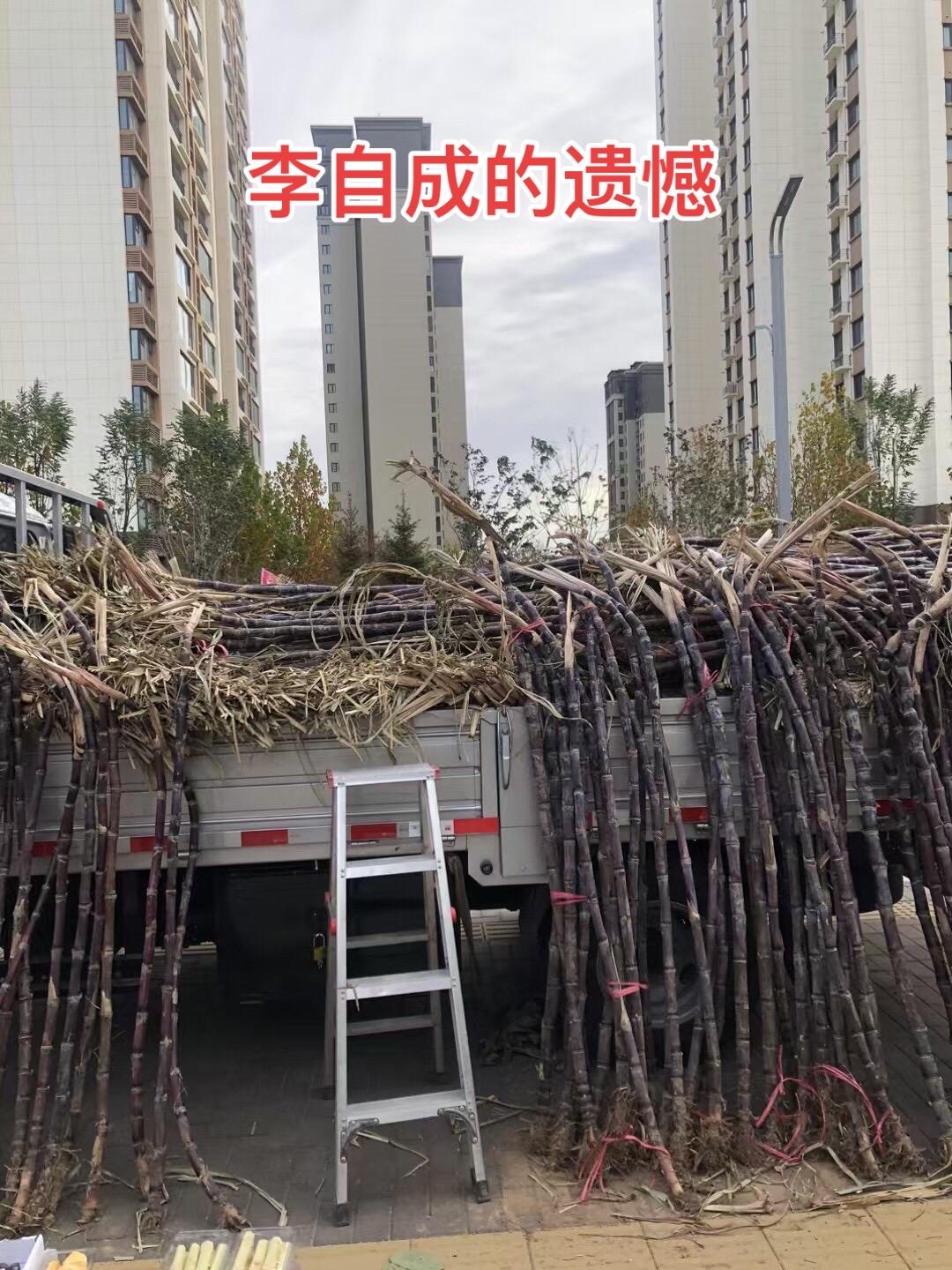李自成战术上的失误 李自成除了在战略上全力打击地主阶级的失误。在战术上...