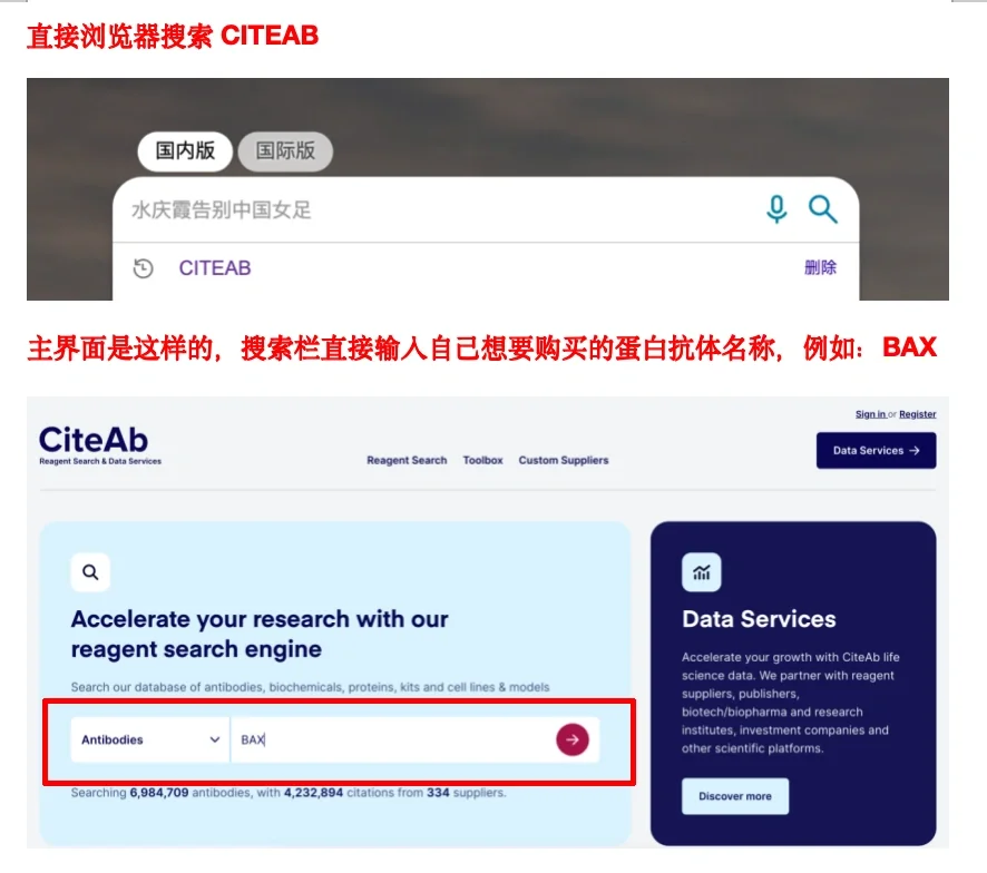 买抗体如何判断此抗体好不好用？