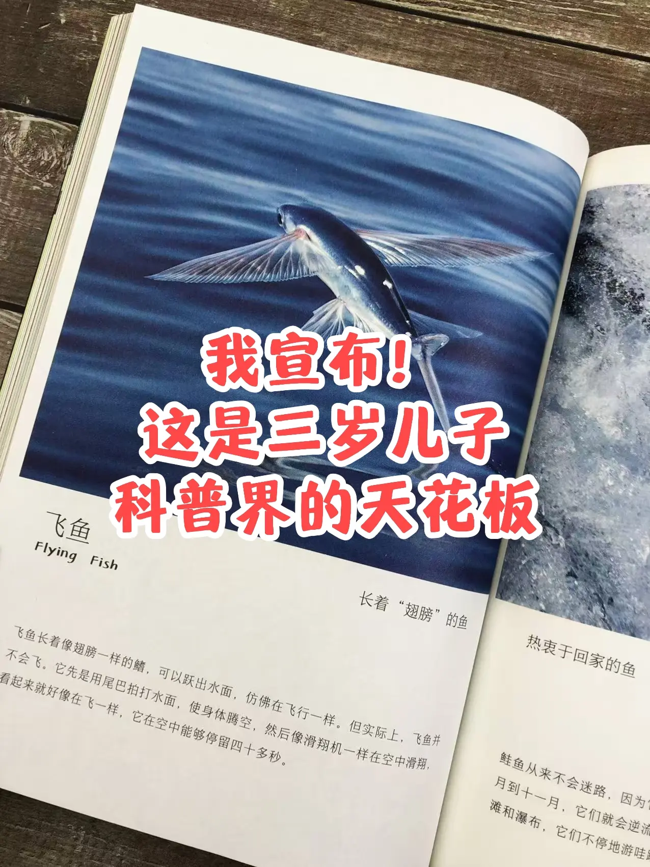 哇！3岁就能看的自然百科书📚。哇！高清大图实拍，视觉冲击力堪比纪录片...