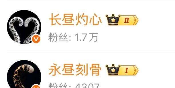 @长昼灼心 @永昼刻骨 永e为好是真的，尾巴家族萌萌的