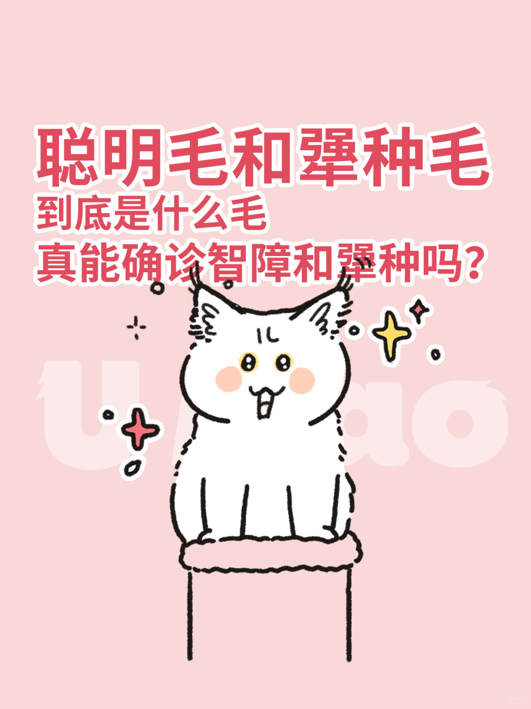 聪明毛和犟种毛是什么毛？有什么用？