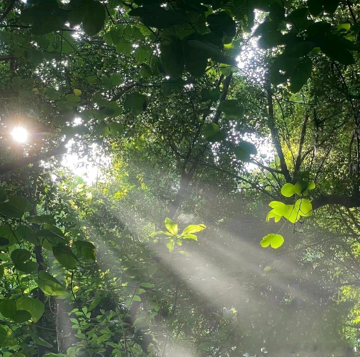 【对我担说】 喜欢你的人从来不会因为他人的三言两语就不爱你请你一定要继续做自己 