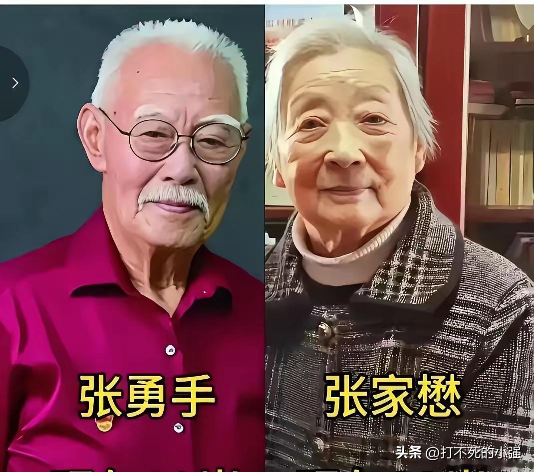 张勇手和张家懋，风雨同舟相伴多年；王心刚与杨昭彩，彼此扶持不离不弃。
张良和王静
