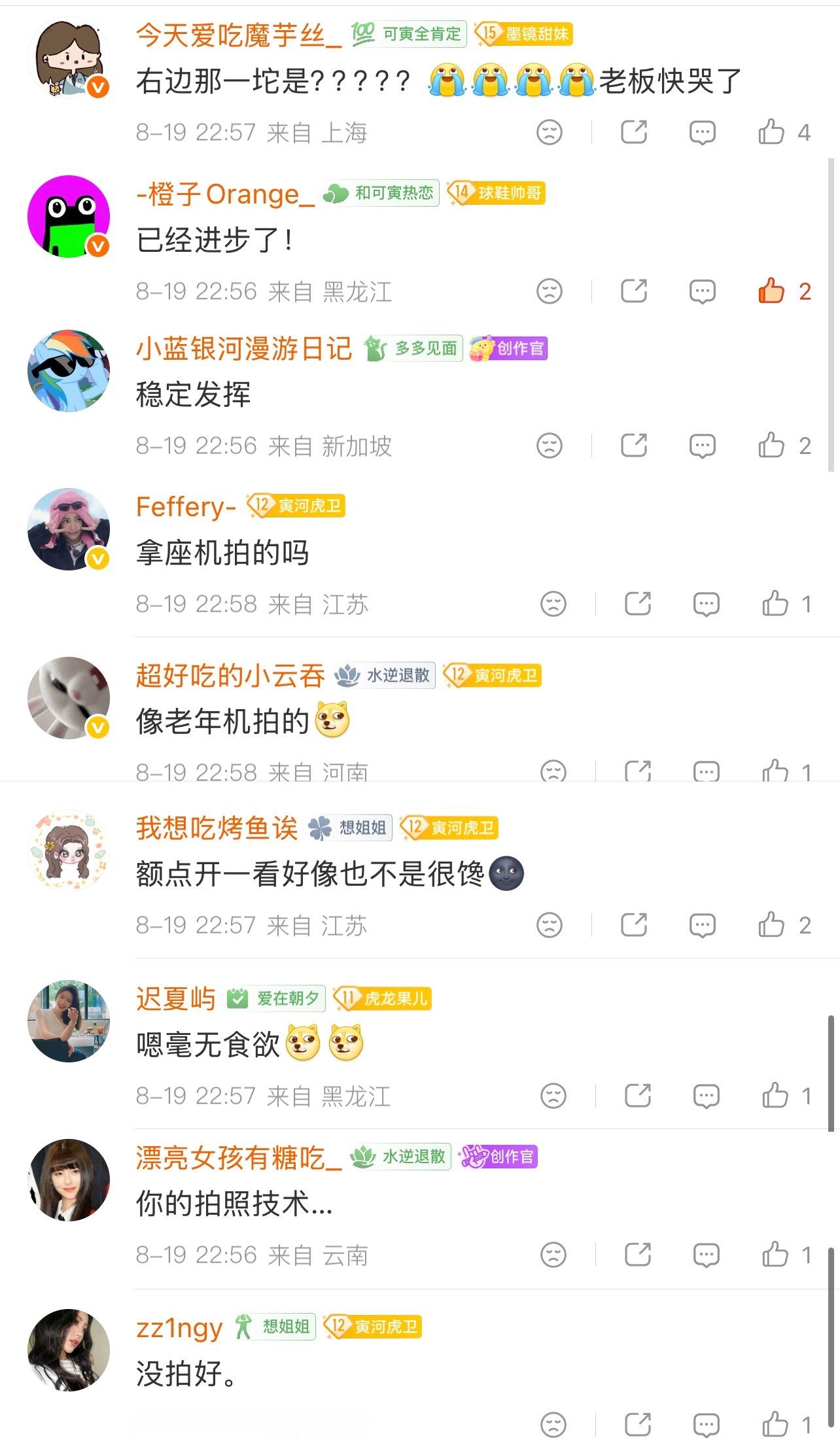 虎丝坏。我必须勉为其难夸一下