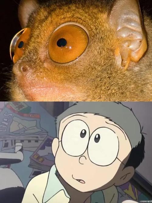 早安中国。时光。奔五的老猴子，没有老花，却突然好像开始有些近视了，作为一个码字工