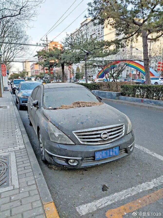 【爱车安全贴士 北京街头停车欠费近6万元？是疏忽还是恶意欠缴？】据北京晚报报道，