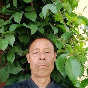 敏锐星辰马增富