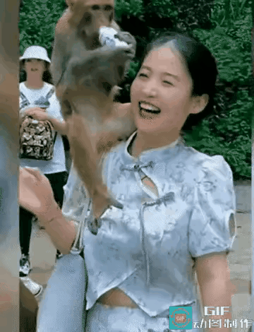 猴哥的生活是多少人梦寐以求的啊