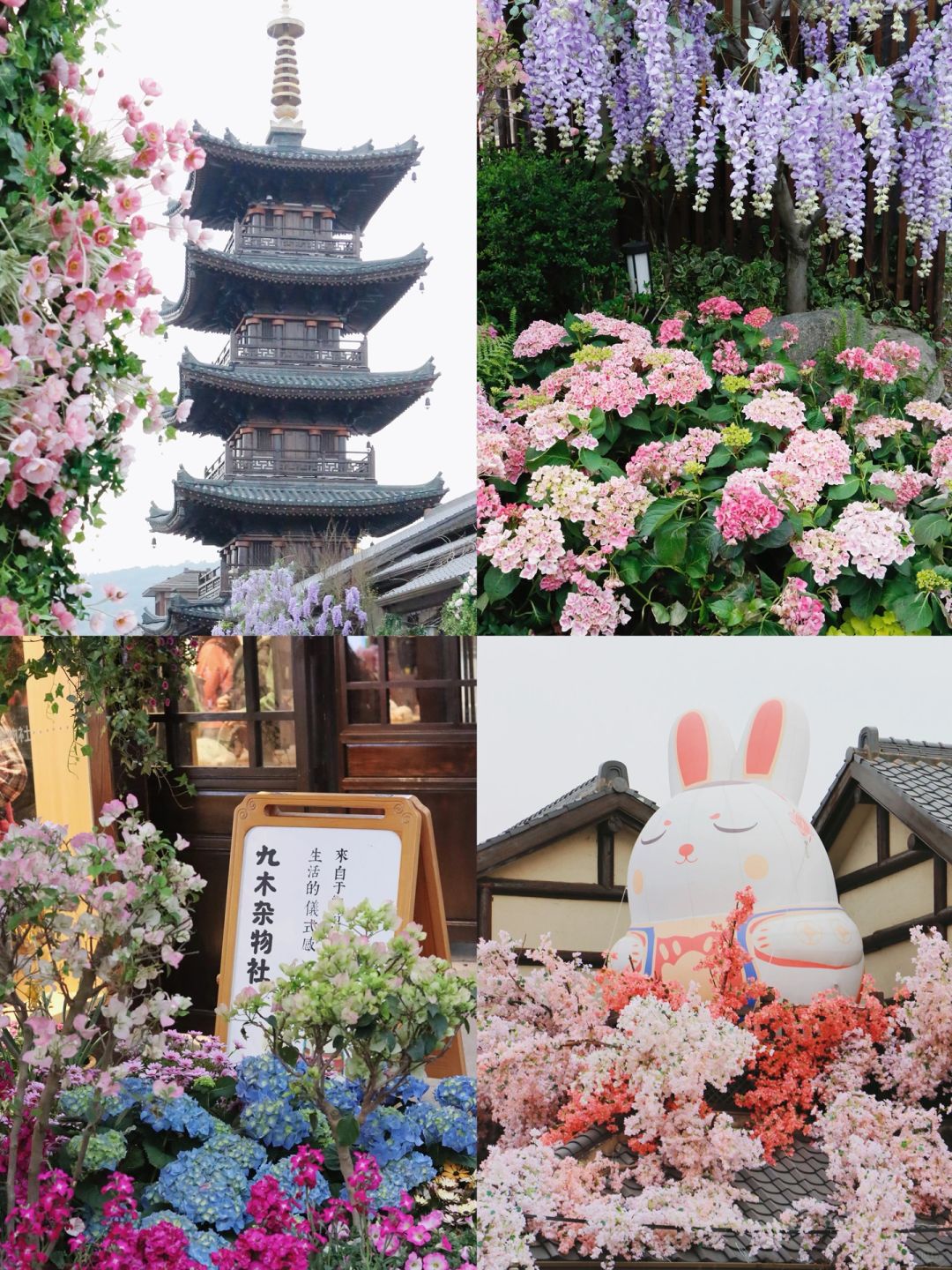 江浙沪旅游🍃无锡拈花湾赏花全攻略‼️