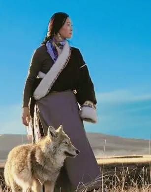女画家李微漪说，我从若尔盖草原带回来一条狼，取名格林，一开始像一条狗，很温顺，后
