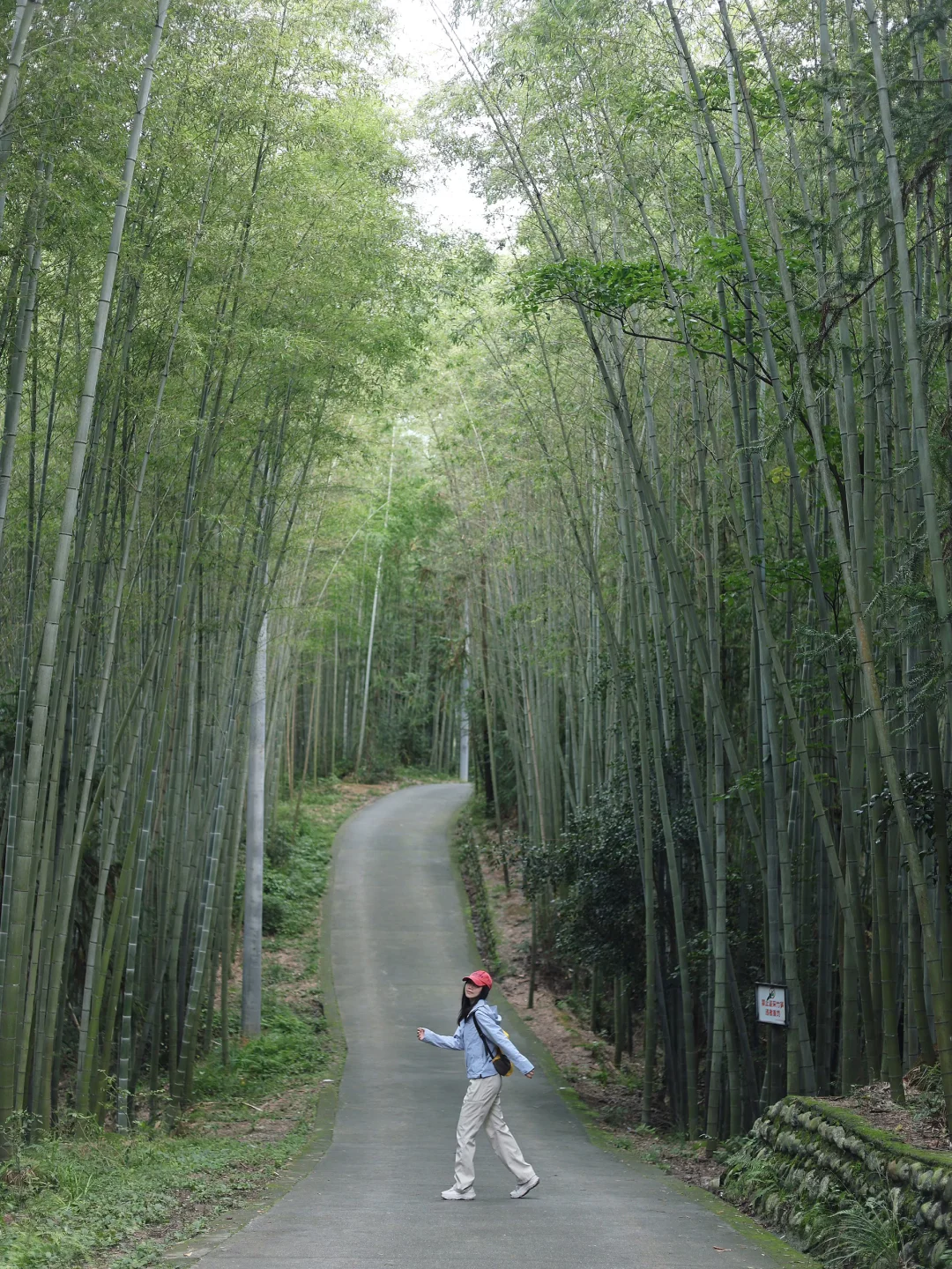 成都每周一山！找到了不费腿的徒步路线🍃
