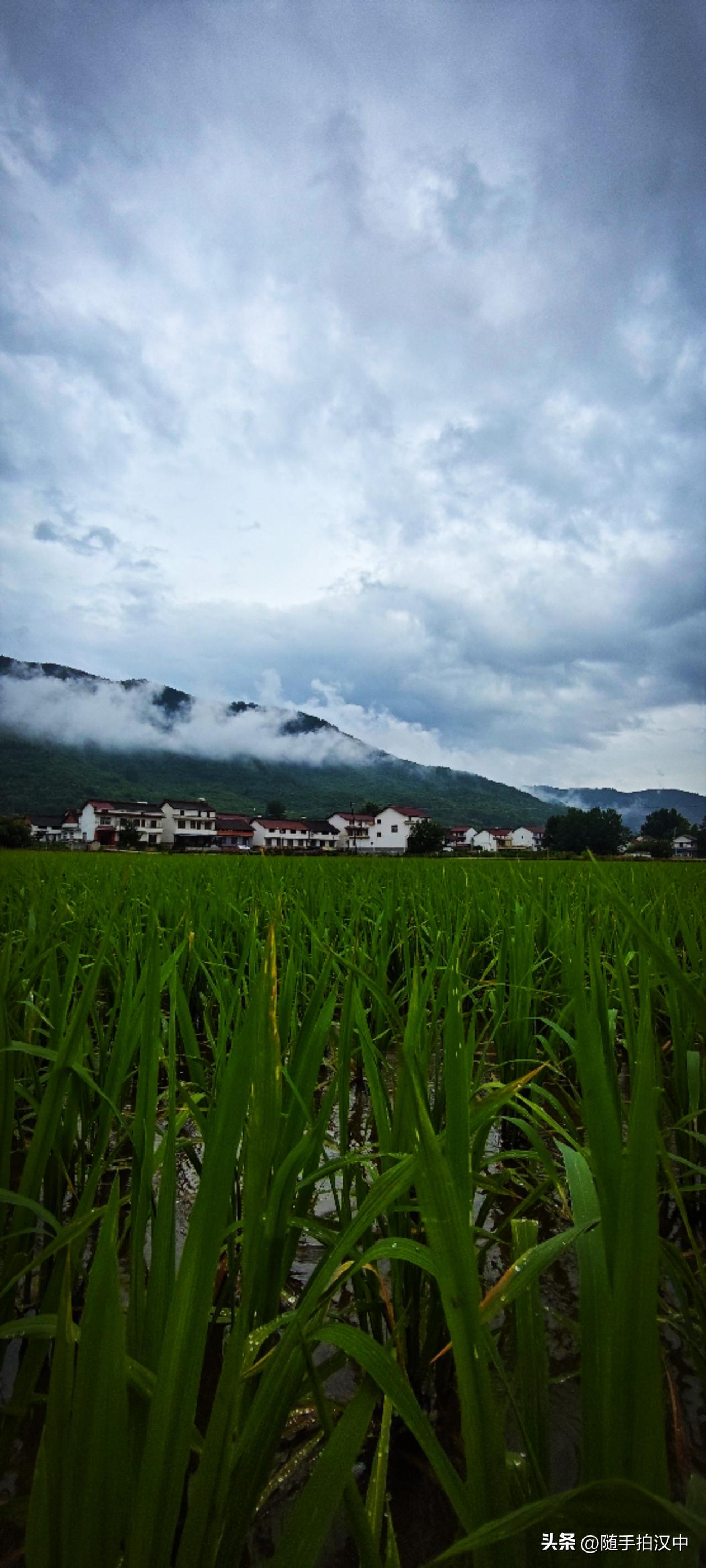昨天夜里开始下雨，今日依然没完没了。大清早的就争吵了几句，哎！与其纠结再三、悔恨
