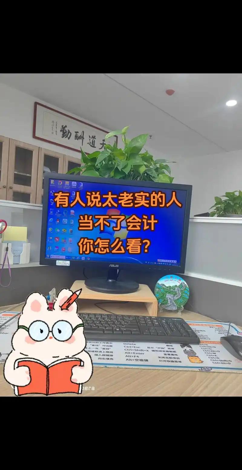 老实人也能当会计
       我想讲讲老实人当会计这事。我认识个朋友，就是那种