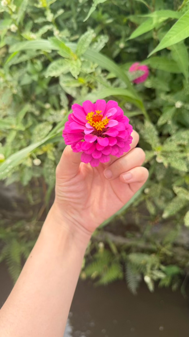 一起生活却失去生活情趣 不少相爱的人选择朝夕相伴，满心期待烟火日常里长久的温柔，