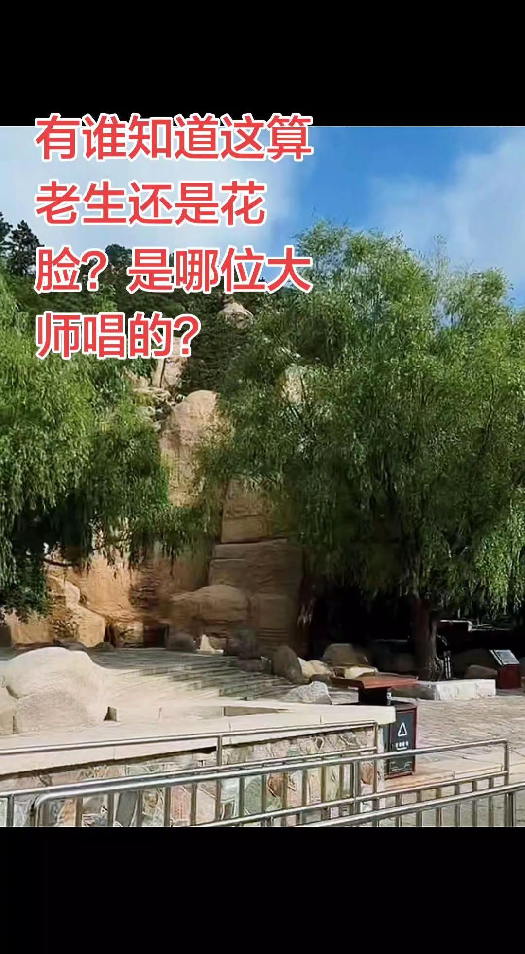 这是哪一出戏？是老生还是花脸？京剧 京剧经典曲目