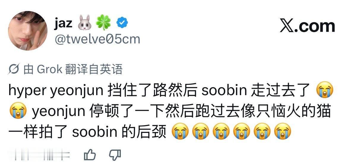 什么什么 想看视频 说是🦊挡住了路但🐰直接走过去了🦊就像恼火的猫咪一样拍了