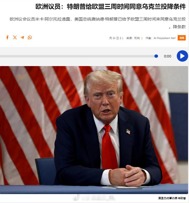 欧洲议会议员米卡·阿尔托拉透露说，美国总统唐纳德·特朗普已给予欧盟三周时间来同意