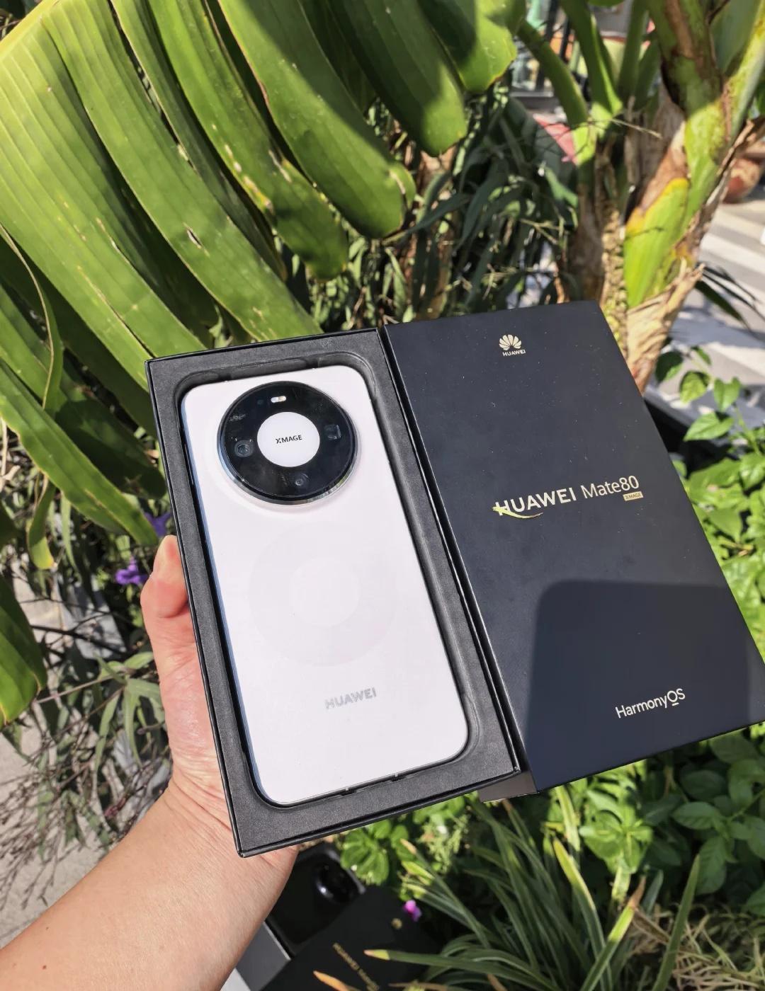 出个Mate80 16+512 白色
电池96 成色不错
全套 3888