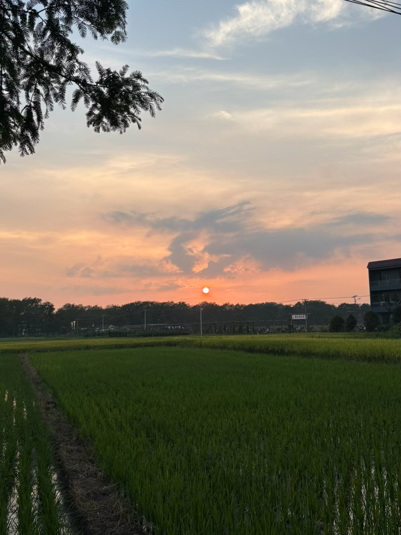 这么好的夕阳也就在老家看到了 