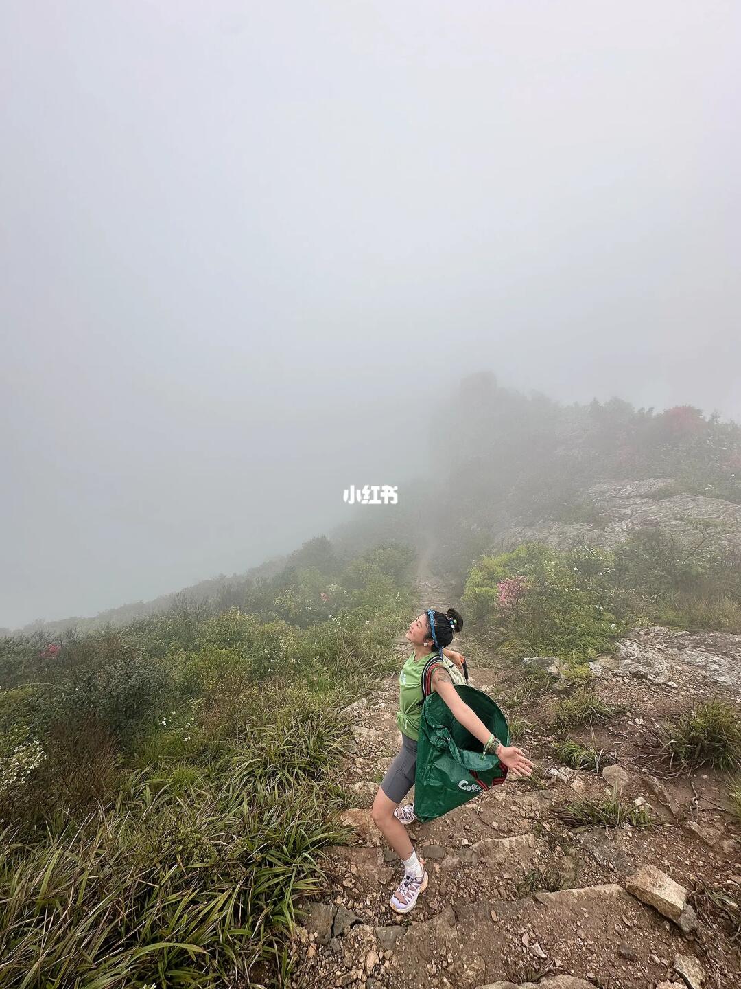 今天我在水桶岙捡垃圾♻️