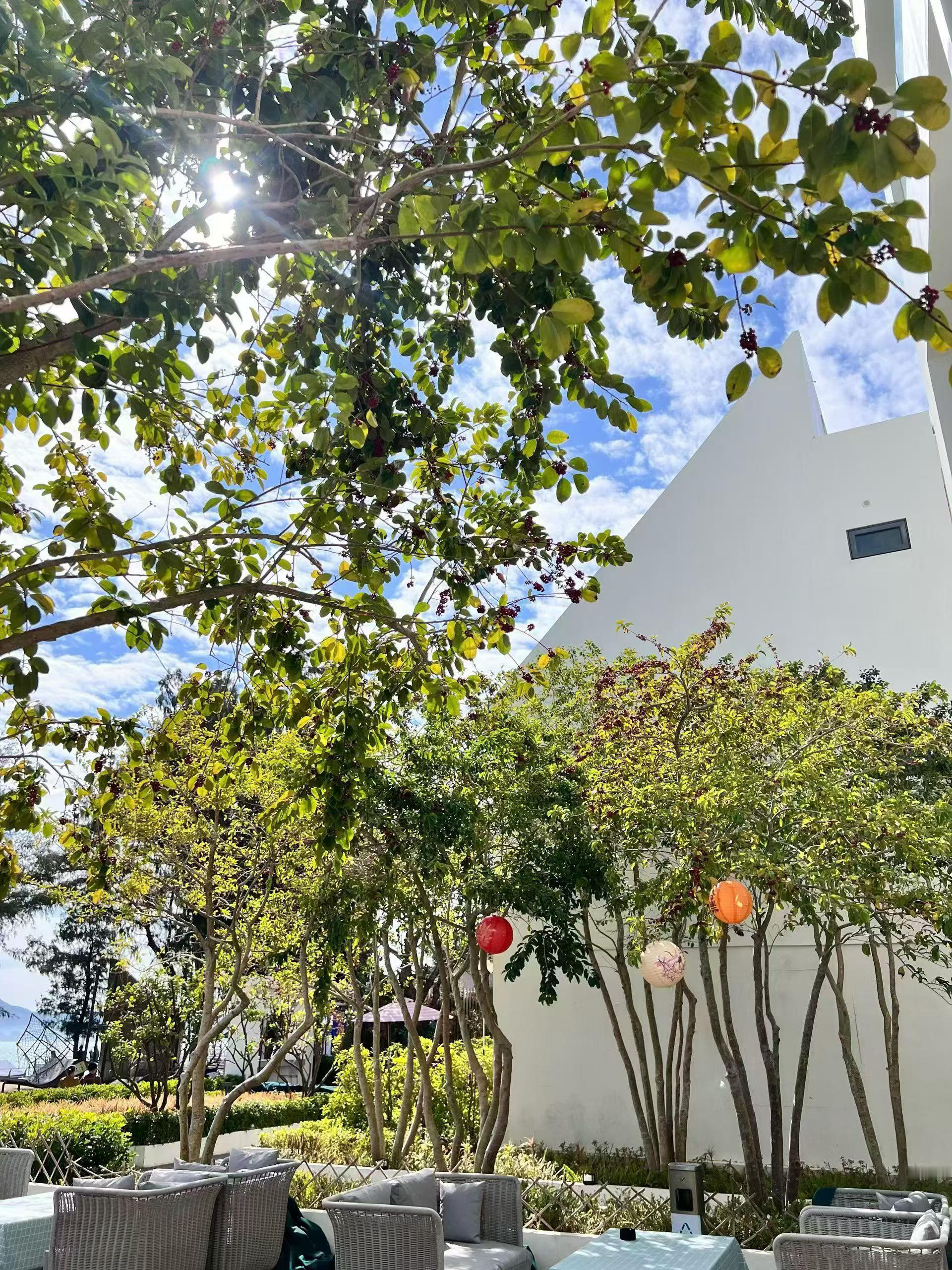 拒绝过度内耗，万事自有节奏，尽我所力，安我所遇，好好拥抱自己。  人觉醒后的最大