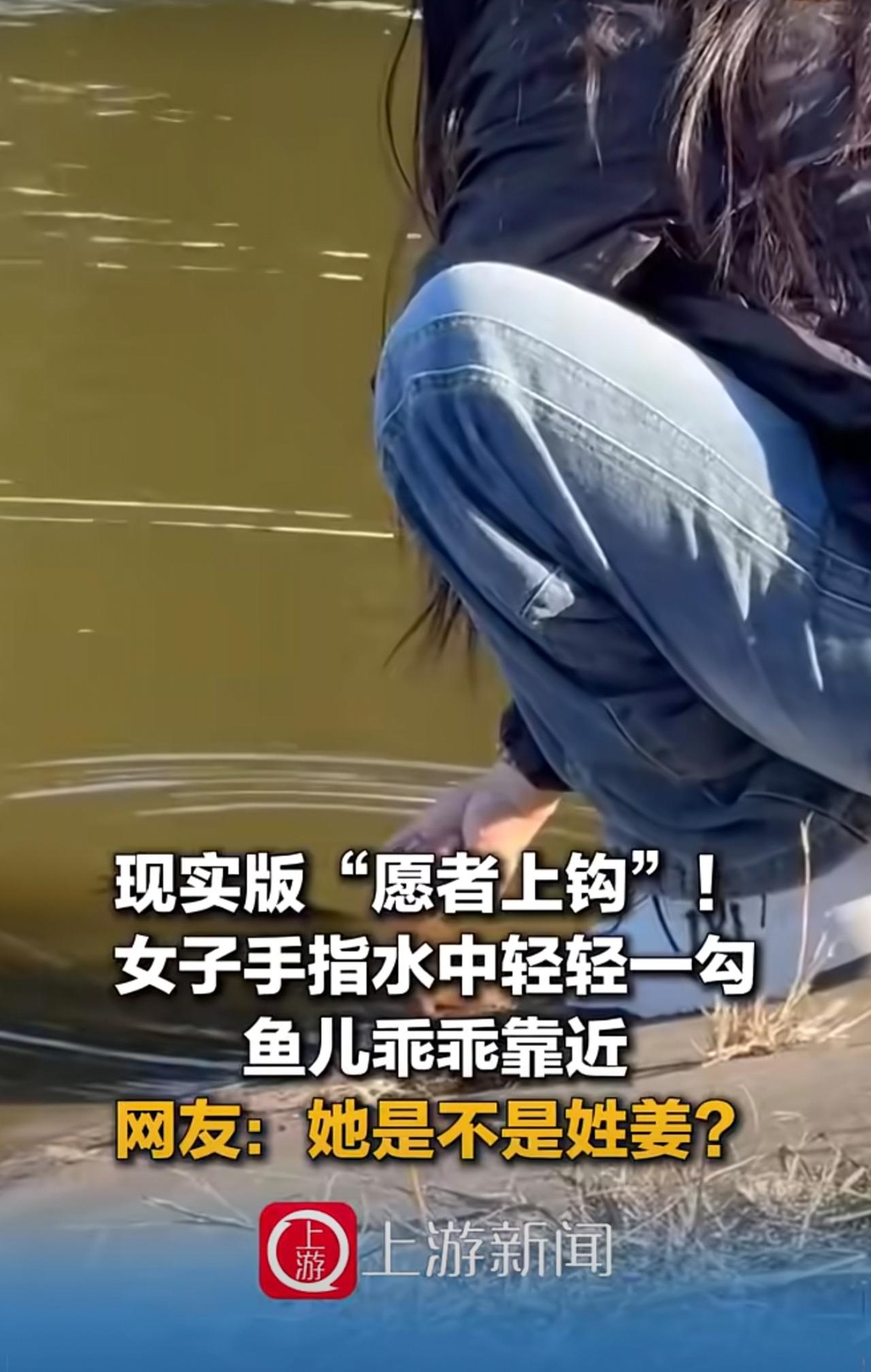 10月10日（受访），黑龙江，现实版“愿者上钩” 女子手指水中轻轻一勾鱼儿乖乖靠