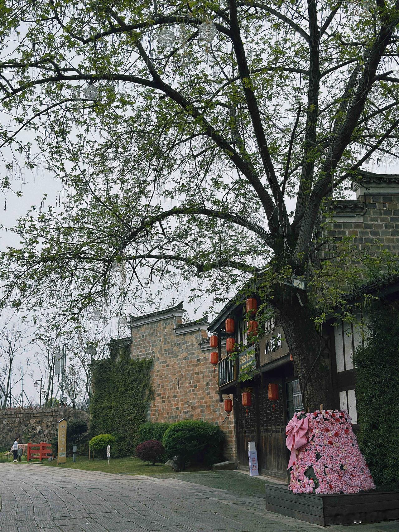 抚州之❷文昌里历史文化街区


自驾导航：寻梦牡丹亭游客服务中心，旁边就有个停车