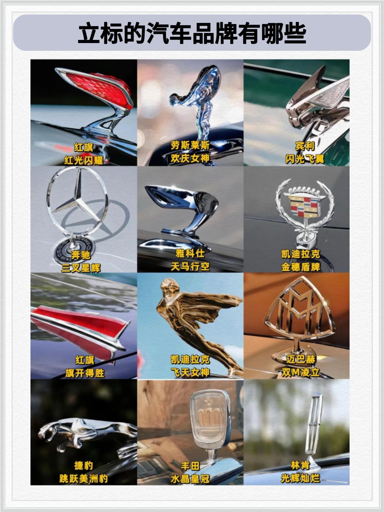 你还看到过哪些立标品牌。