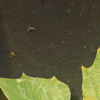 每日一善 每日一善 阳光信用 努力去做一个温暖的人,用真心对世界微笑,用眼泪提醒