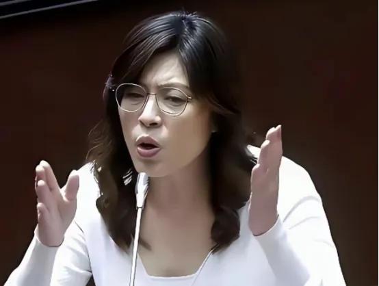 蓝营终于不再含糊回避统一议题，国民党主席郑丽文公开直言不接受一国两制。她坚持九二