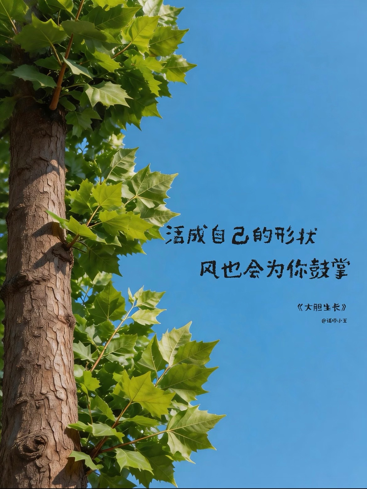 当我们拥有梦想的时候，就要拿出勇气和行动来，穿过岁月的迷雾，让生命展现别样的色彩