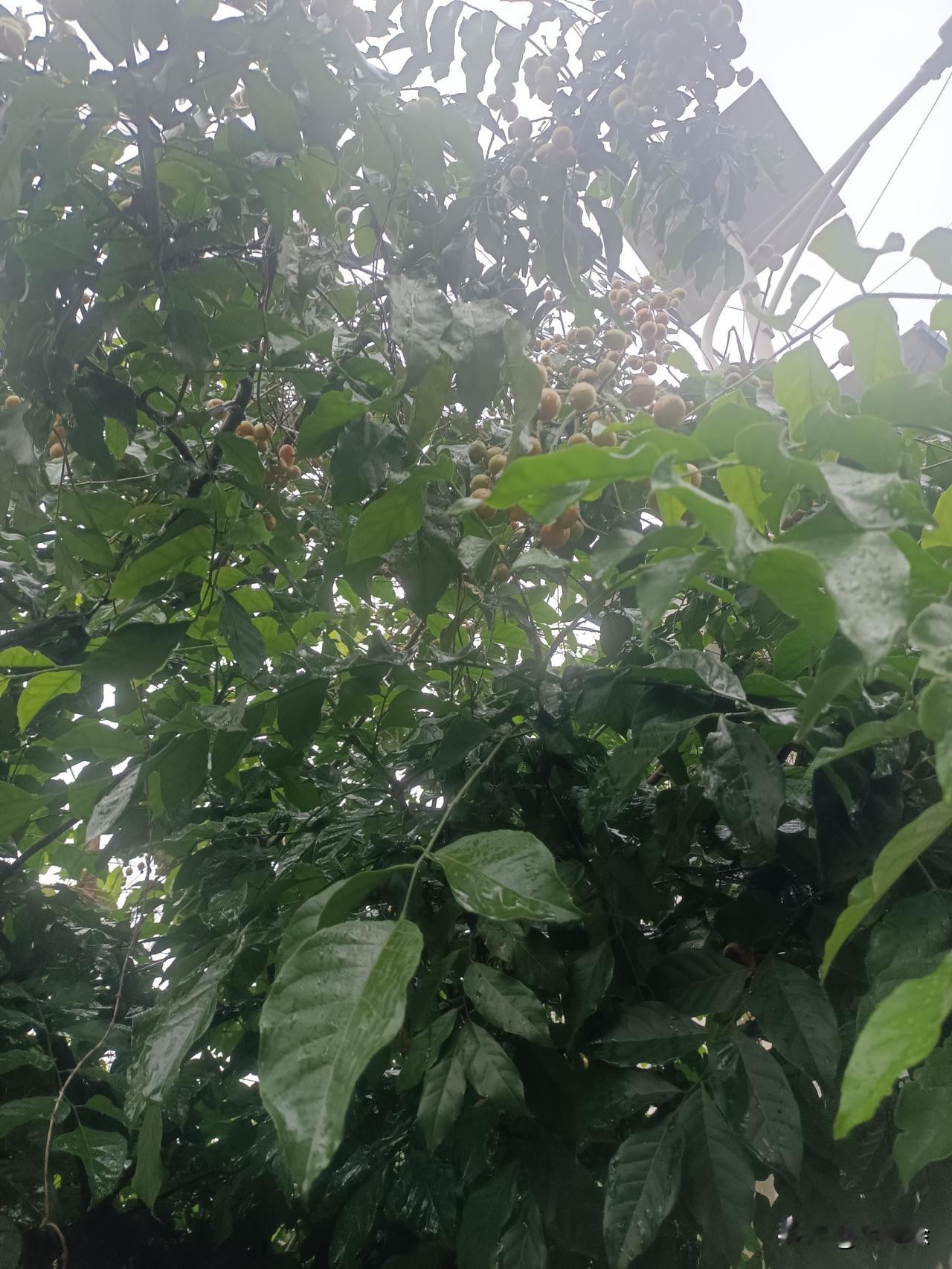 作为天天上班熬日子的牛马，聊读书这点事说点实在大白话。

从小所有人都跟我说好好