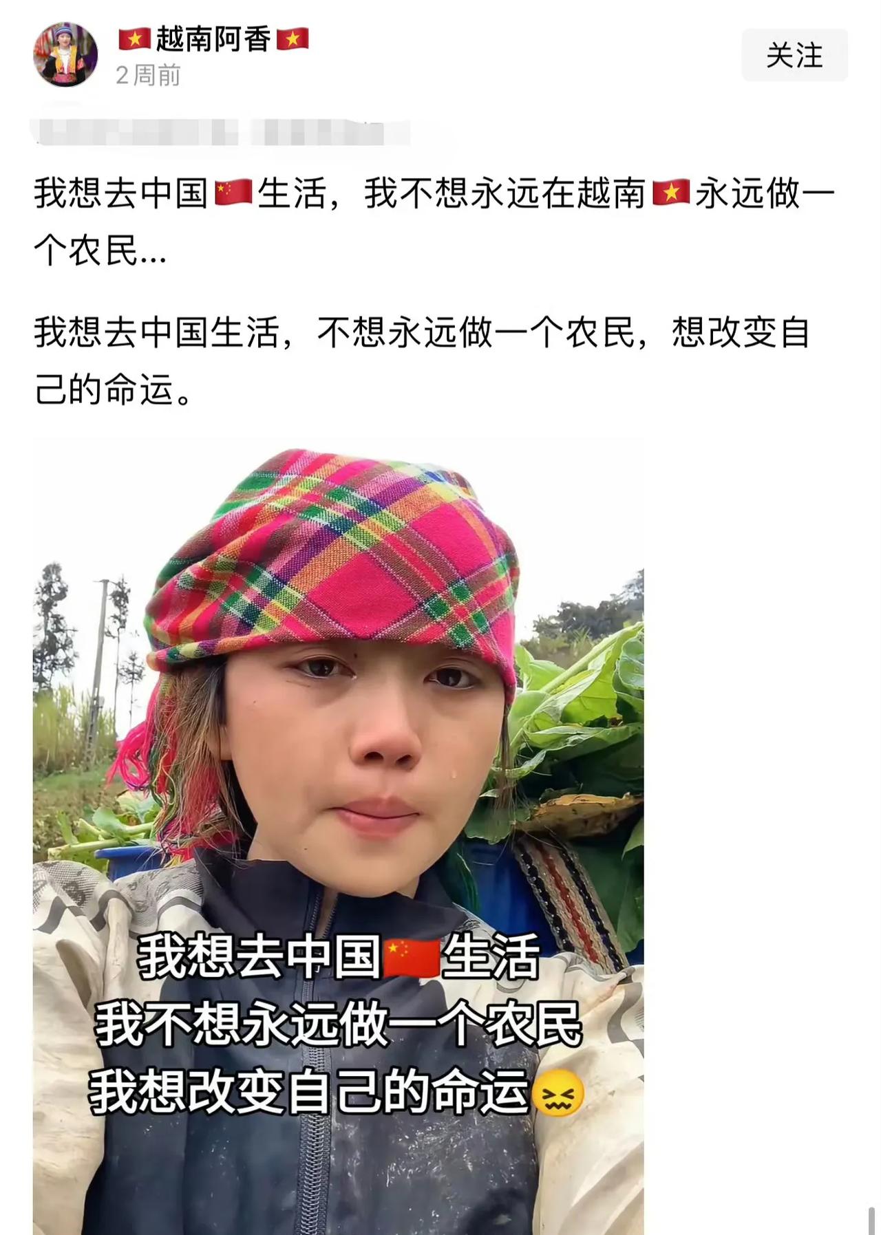 你一个越南农民，如果真的能过来，也还是农民啊，还能干啥？