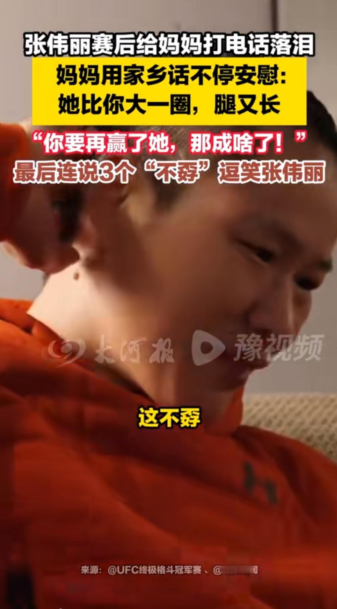 八角笼里的血还没擦干，张伟丽攥着手机的手微微发抖。电话接通的瞬间，那句带着河北口