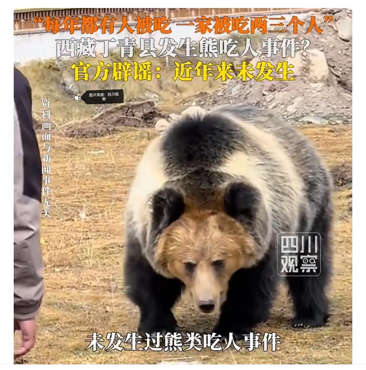假的！西藏丁青熊吃人？官方方硬核辟谣，别再被谣言带偏了
 
近期，一则“西藏昌都