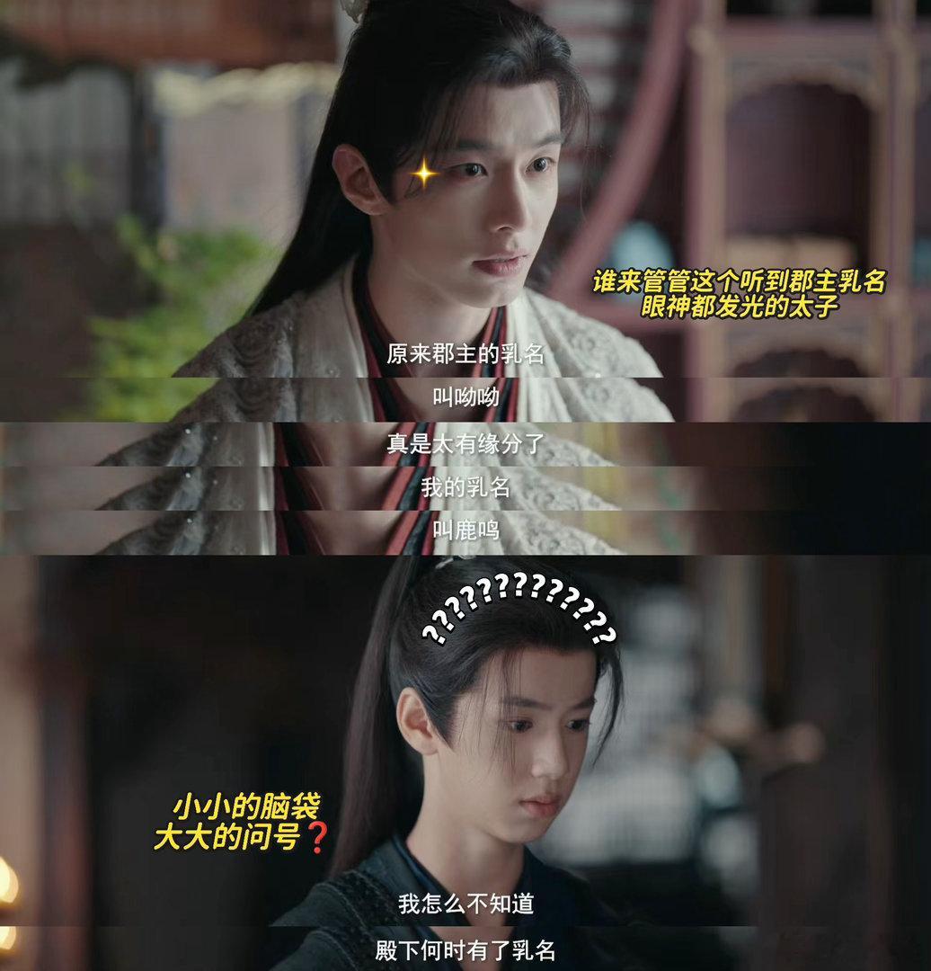 孟子义演1集能听到50次表白 建议改名叫《郡主今日也在办“拒签”业务》，太子信王