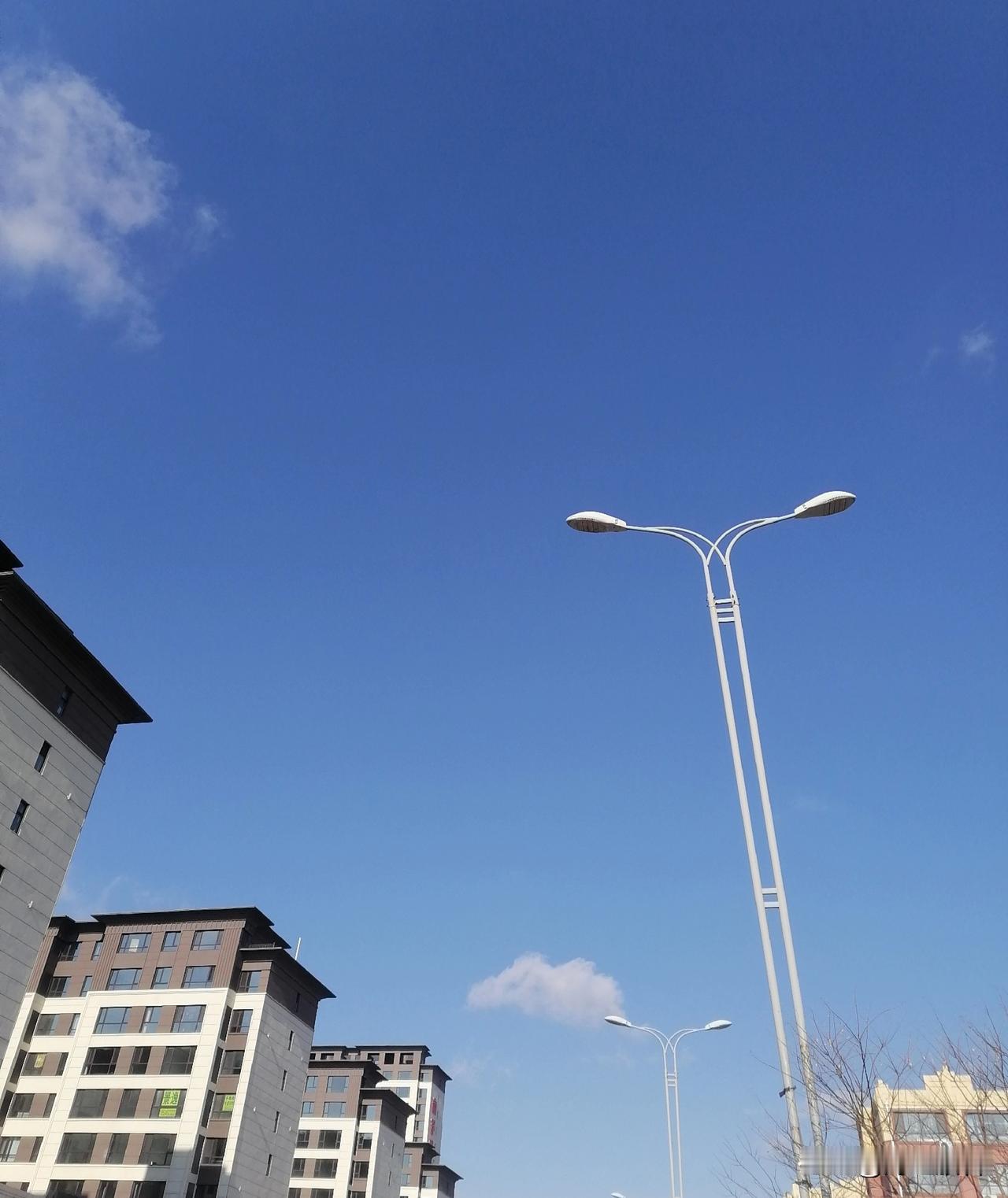 相濡以沫，不如相忘于江湖。爱情不需要刻意维护，就是松弛，自由，最好的感情一定是舒