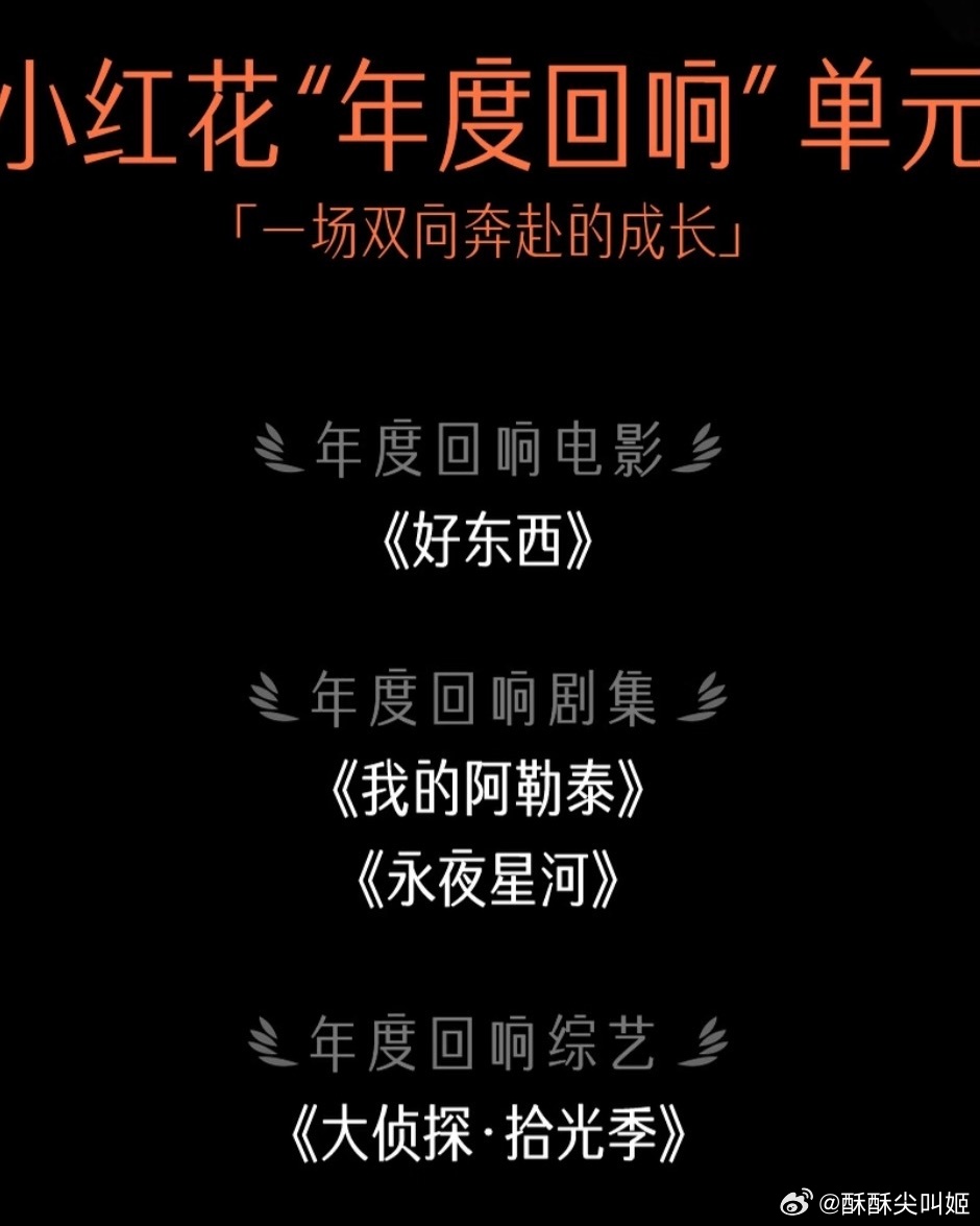 给好作品送一朵小红花好作品永不落幕细数🍠小红花好作品庆祝时刻全维度获奖阵容：青