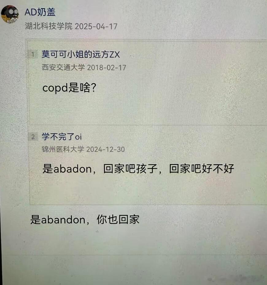都回家了，是过年了吗？ 