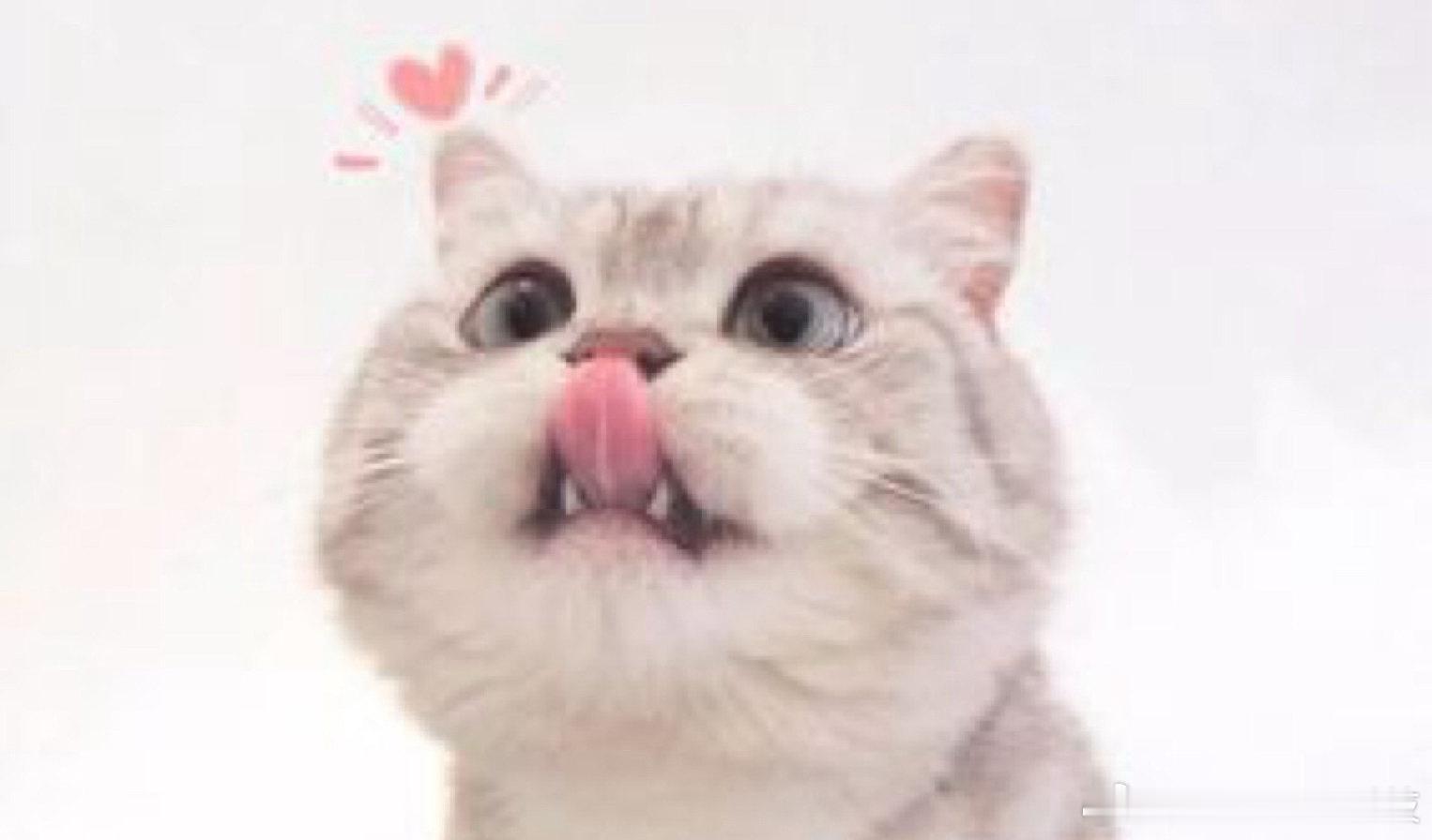 【🧧4月互动榜单福利🧧】每天坚持互动，会有额外的惊喜礼物奖励机制：榜1：40