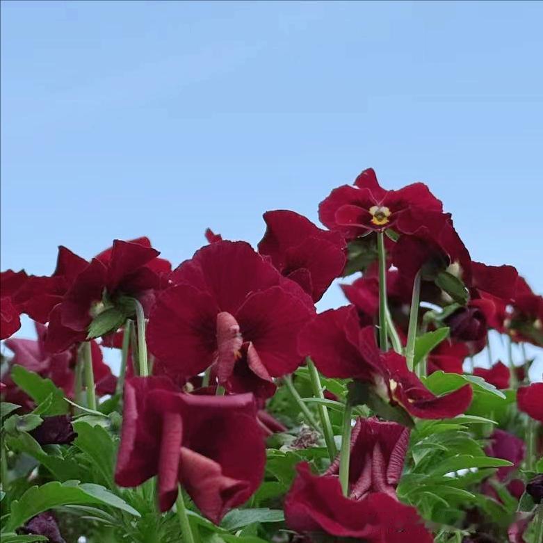 广元市迎来新的主要负责同志
 
4月27日，70后的工商管理硕士石钢履新该市。