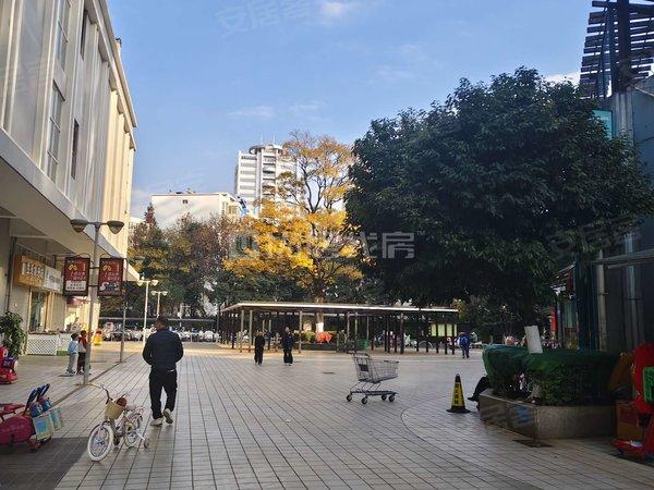 西山区上半年财政表现来了！

2026年上半年西山区一般公共预算收入完成16.8
