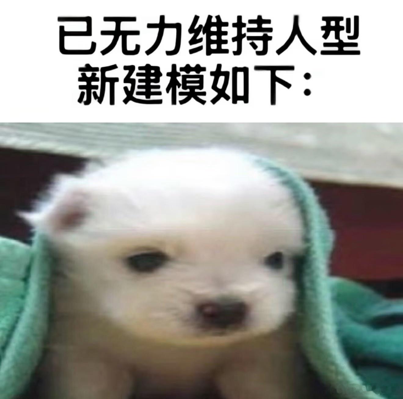 累成狗了.jpg 