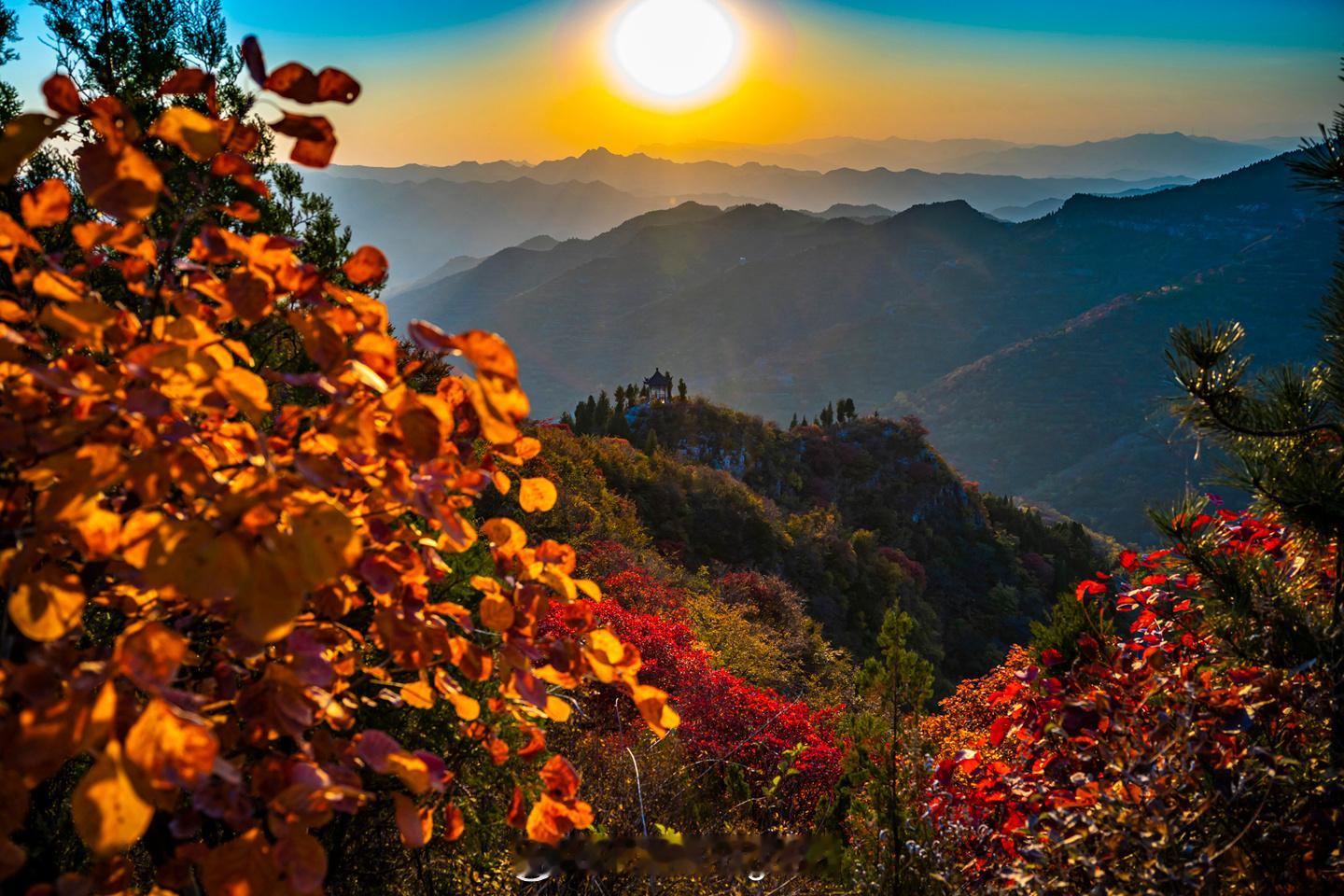 金秋时节，走进潭溪山，仿佛走进了一个五彩斑斓的世界。漫山的红叶，在阳光的照射下，