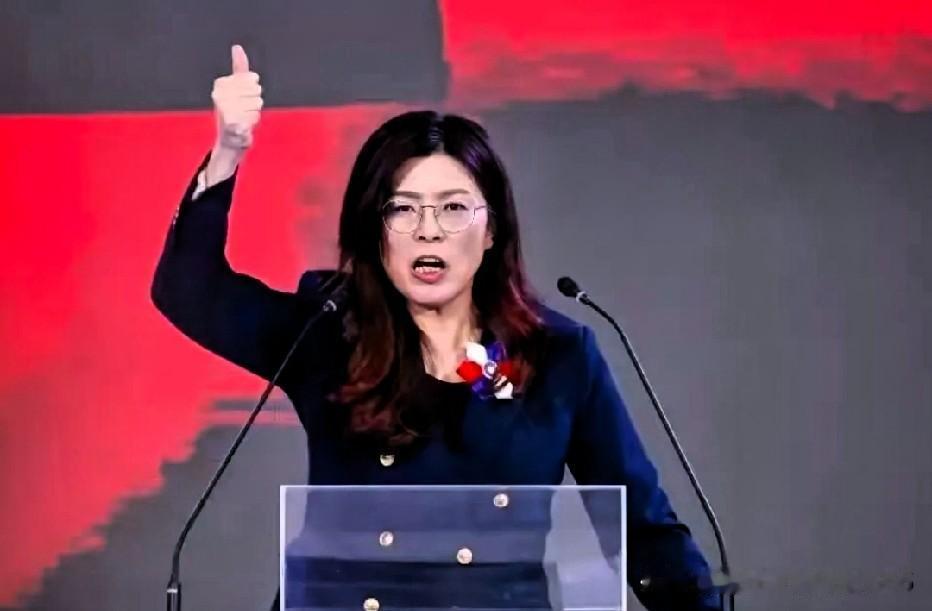 看到这出大戏，我真是没忍住笑出了声。

那位在野党大佬，出发前那阵仗，又是华盛顿