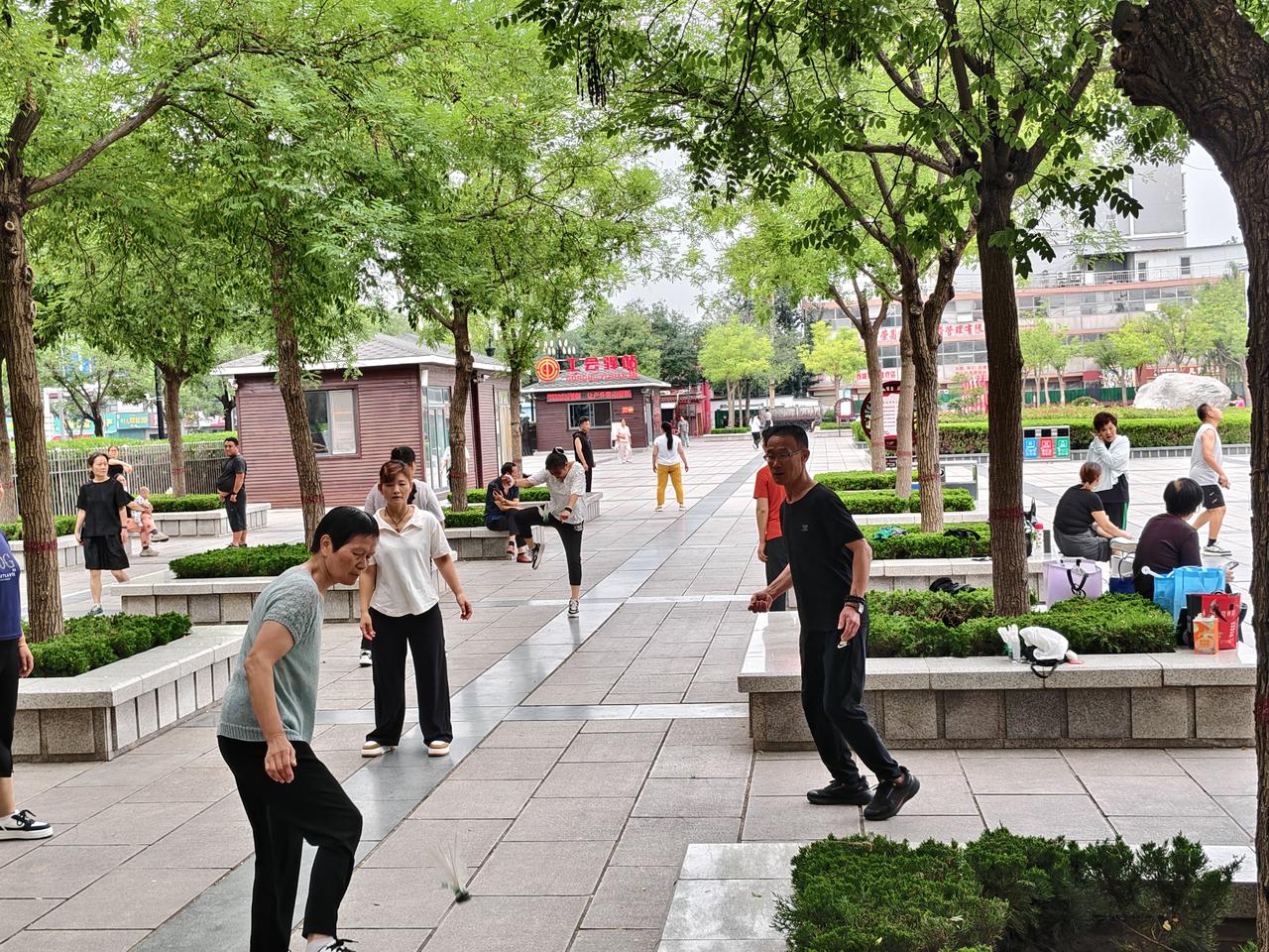 您瞧，运城西花园的清晨是最喧闹的时刻:三五成群在踢毽子，他们不是正着踢，而是用脚