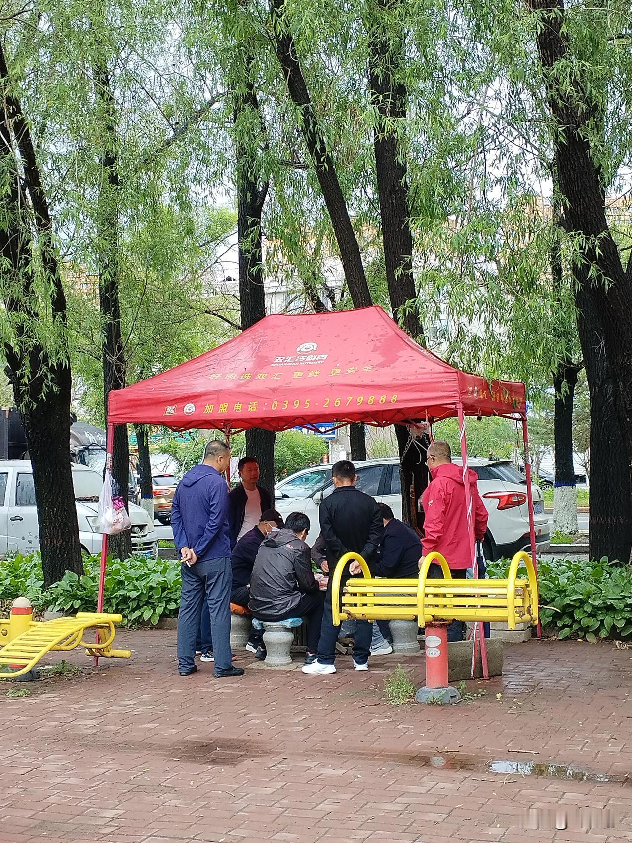 岁月歌
石桌纸牌起烽烟，
老叟寻觅岁月欢。
榆柳垂枝遮晴日，
请续句……
（突降