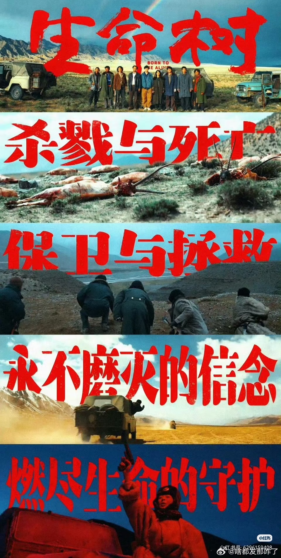 今天杨紫粉丝要开心坏了吧[点赞]两部剧的质感都很好，生命树给我的感觉就是俩字，震